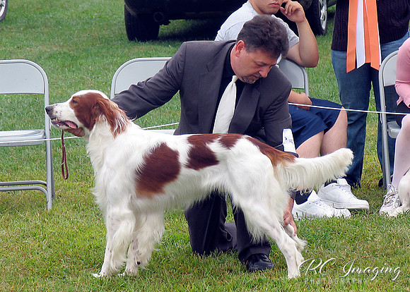 IRWSA Specialty Show 28