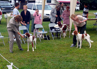 IRWSA Specialty Show 17
