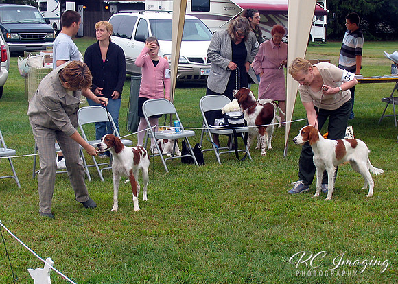 IRWSA Specialty Show 17