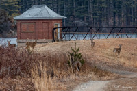 Maltby Lakes 1-28-22