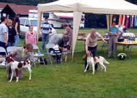 IRWSA Specialty Show 16