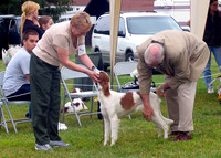 nt-Disposition: form-data; name="file17_title"IRWSA Specialty Show 18