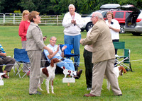 IRWSA Specialty Show 25