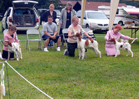 IRWSA Specialty Show 22