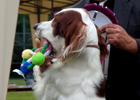 IRWSA Specialty Show 27