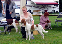 IRWSA Specialty Show 24