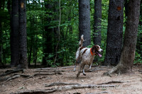 Photos for blog