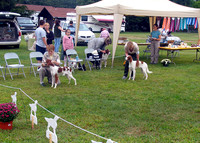IRWSA Specialty Show 13