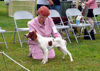 IRWSA Specialty Show 11