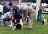 IRWSA Specialty Show 26