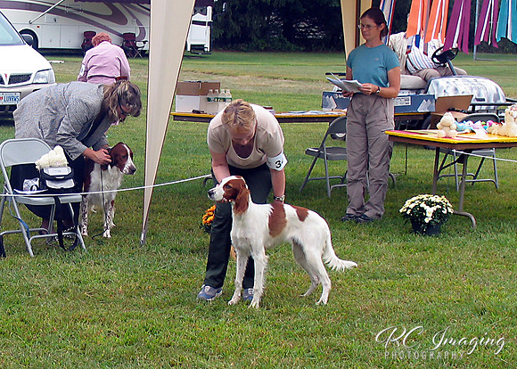 IRWSA Specialty Show 15