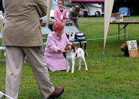 IRWSA Specialty Show 12
